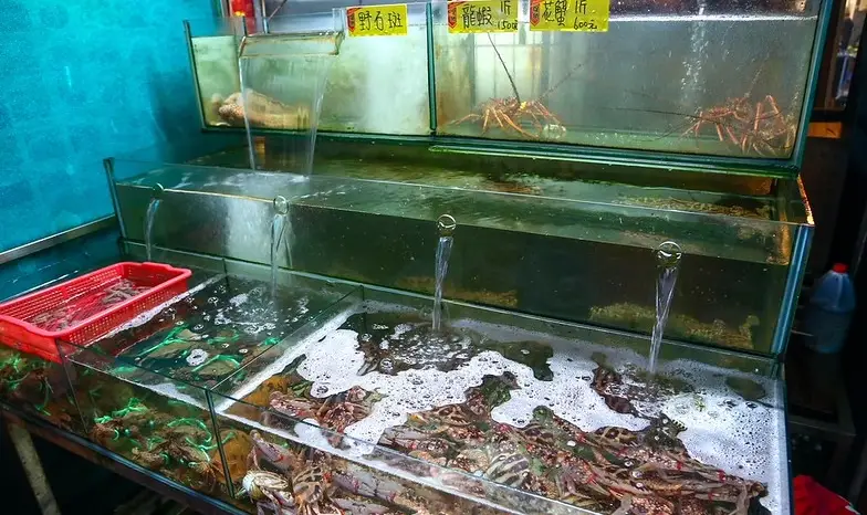 金門美食海鮮 金門美食海鮮