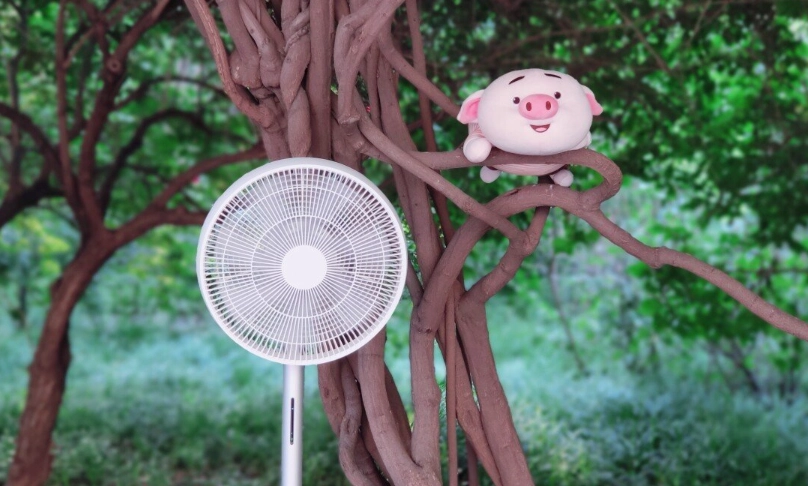 植物吹電風扇有用嗎？專家親測三大好處與完整使用指南