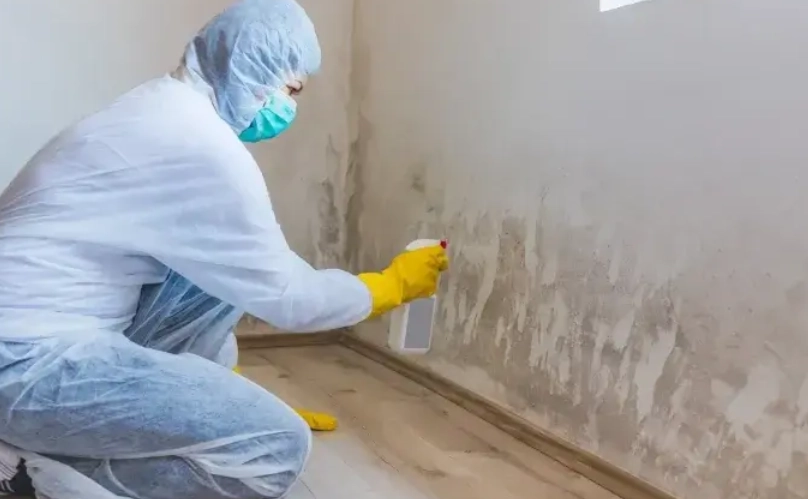 牆壁發霉直接上漆？專家揭露正確處理步驟與常見錯誤