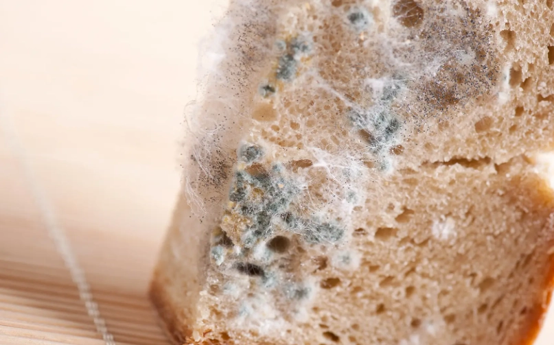 不小心吃到發霉蛋糕怎麼辦？完整應對指南與預防心法