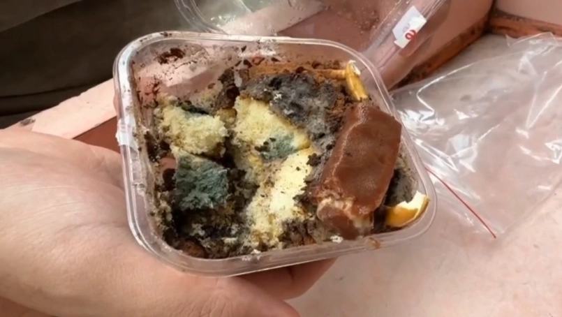 發霉蛋糕處理 發霉蛋糕處理