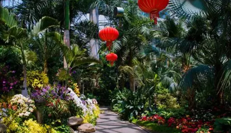 台北植物園 導覽 台北植物園 導覽