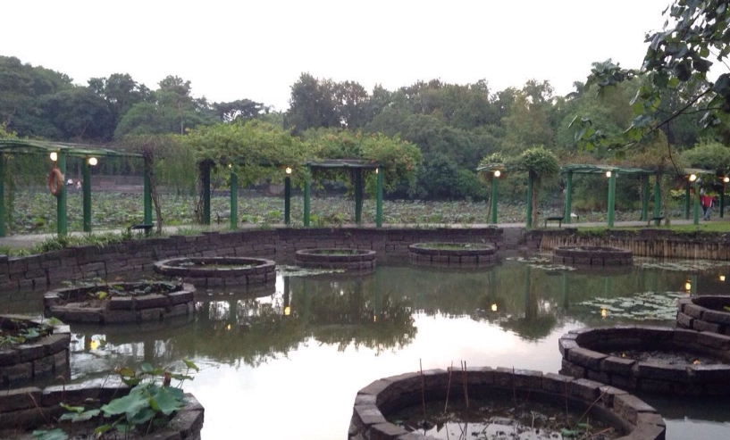 植物園 旅遊指南 植物園 旅遊指南