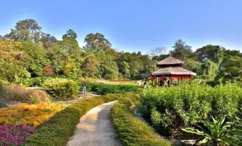 台北植物園 景點 台北植物園 景點