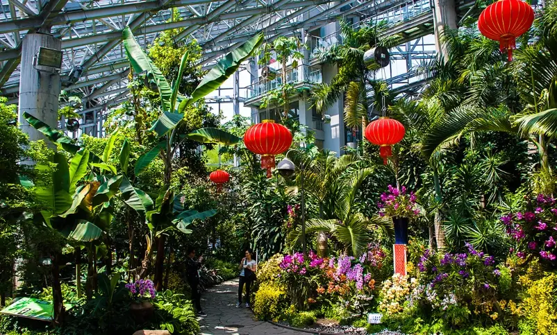 台北植物園 導覽 台北植物園 導覽