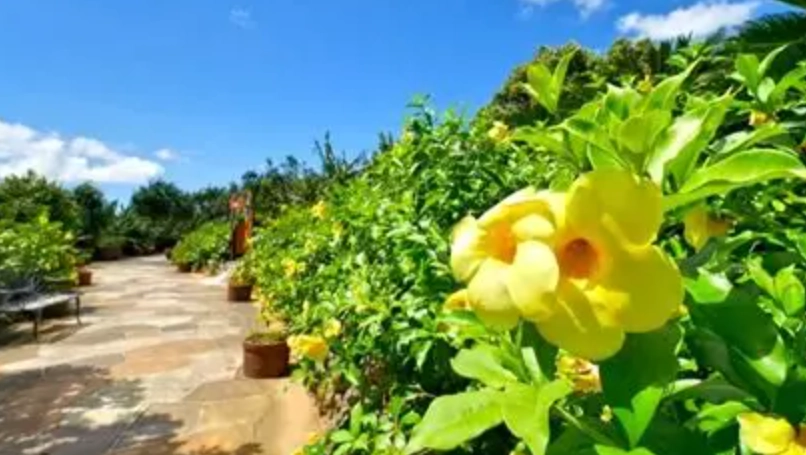 沖繩必去景點 沖繩必去景點