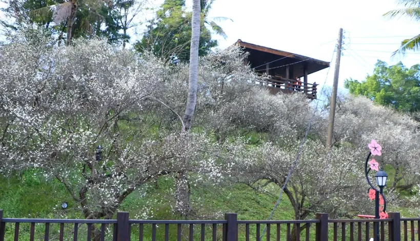 梅山旅遊 梅山旅遊