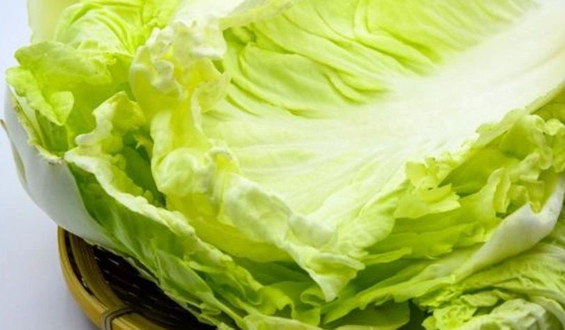 綠色蔬菜變黃怎麼辦？從原因、處理到預防的完整實用指南