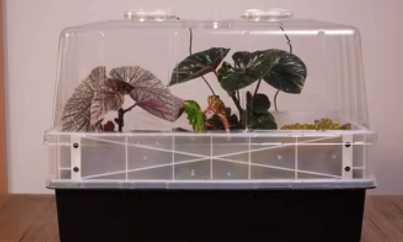 悶養容器 悶養容器