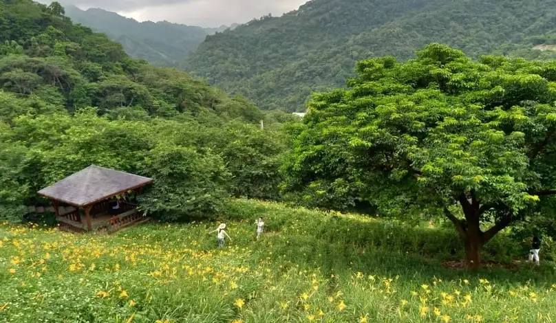 中部休閒農場推薦：五大親子同樂與自然體驗農場全攻略