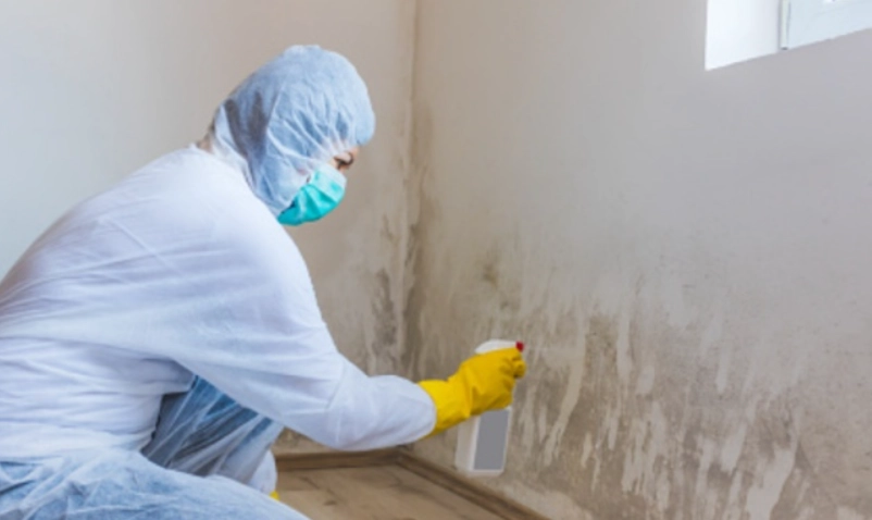 牆壁發霉重新粉刷全攻略：從除霉到上漆的完整避坑指南