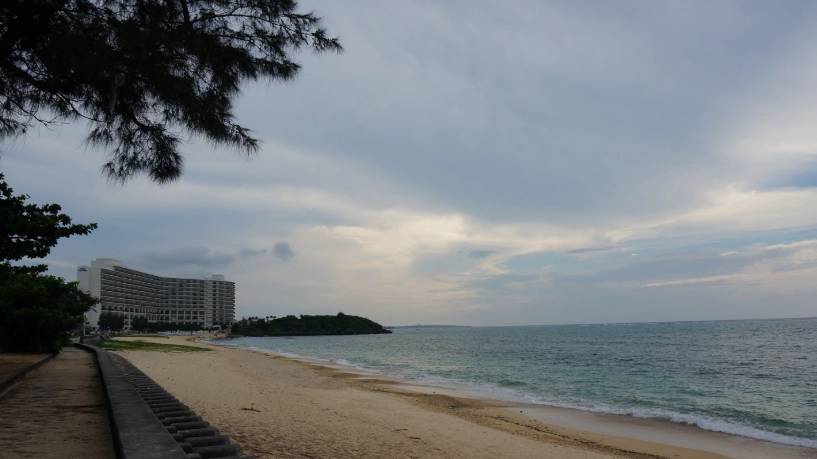 老虎海灘交通