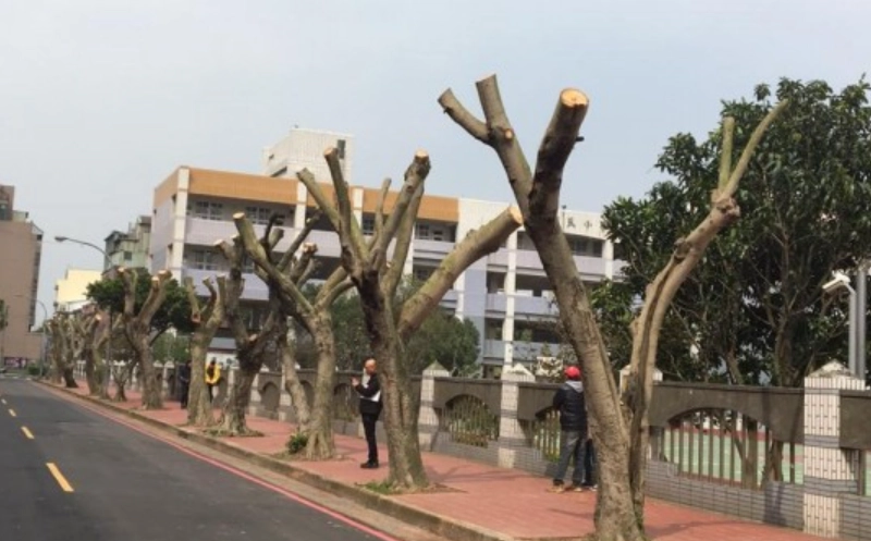 園藝修剪指南
