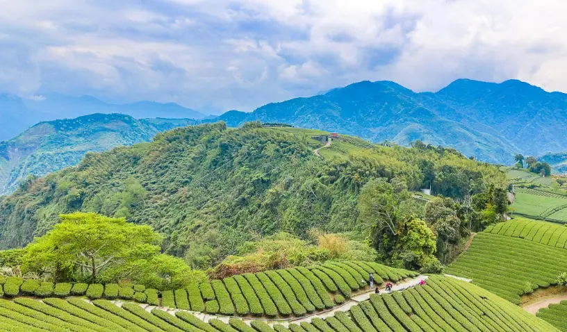 嘉義梅山景點全攻略：必訪秘境與實用行程規劃