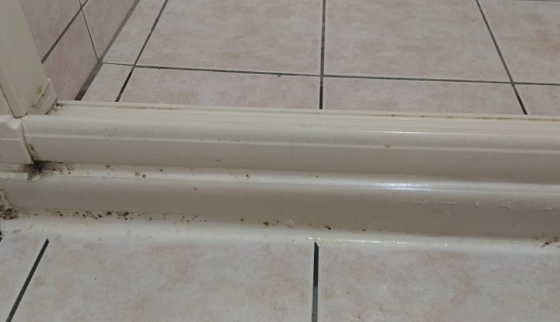 除霉凝膠推薦 除霉凝膠推薦