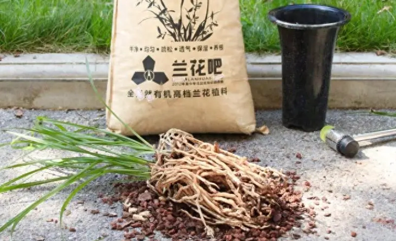 蘭花盆器 蘭花盆器