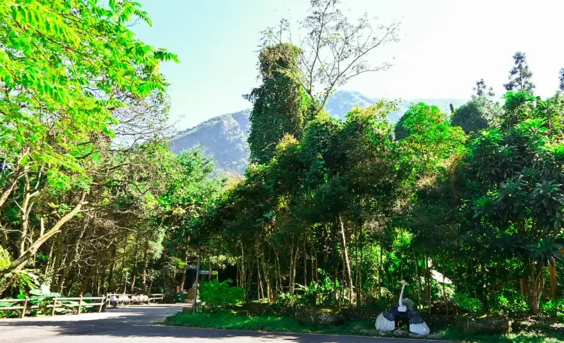 台中室內遊樂園 台中室內遊樂園