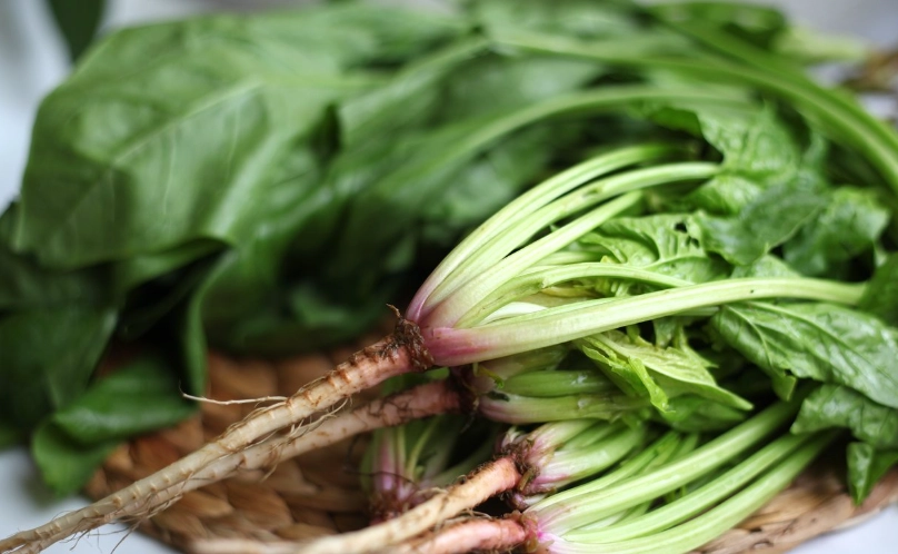 菜軟掉還能吃嗎？三種狀況判斷與正確處理指南