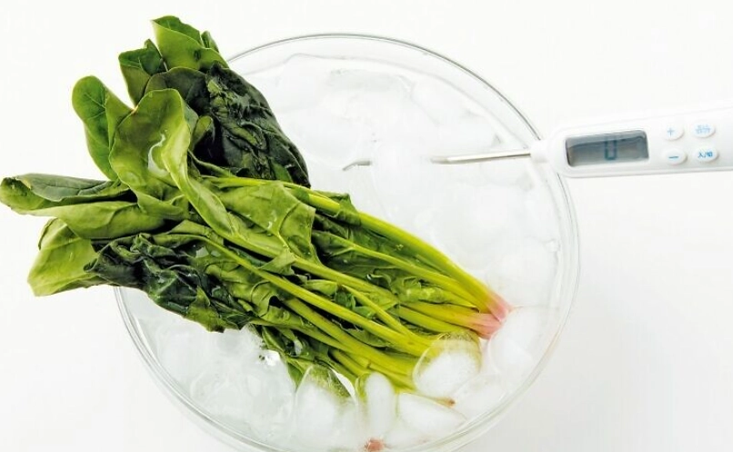 食物安全判斷 食物安全判斷