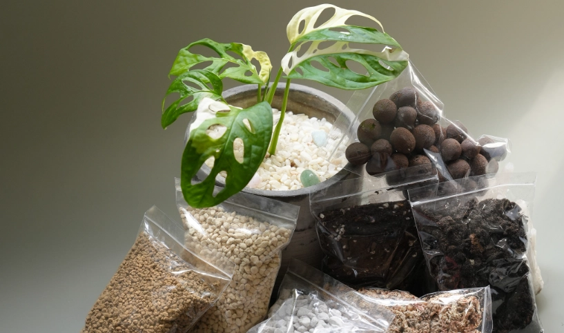 觀葉植物土壤混合