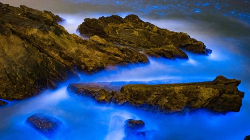 藍眼淚機率預測全攻略：掌握最佳觀賞時機與地點