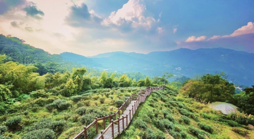 嘉義景點 年輕人