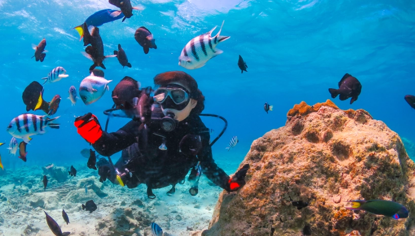 沖繩行程 沖繩行程