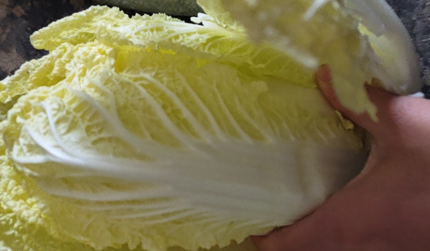 防止白菜變黃