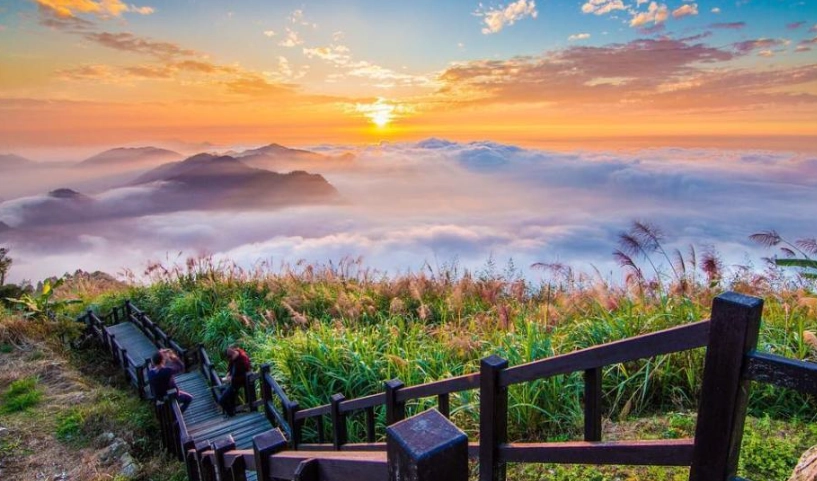 嘉義景點 年輕人