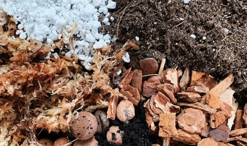 觀葉植物介質比例全攻略：實用配土技巧與常見錯誤解析