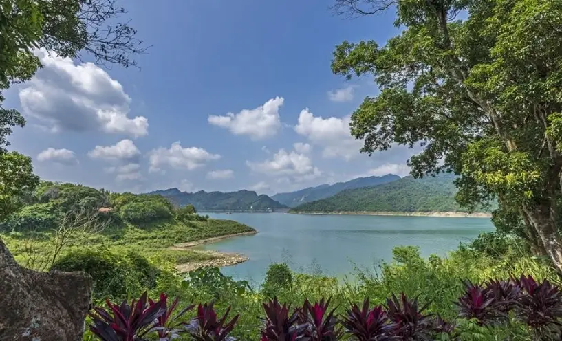 退輔會嘉義農場旅遊全攻略：門票、交通、景點一次看懂