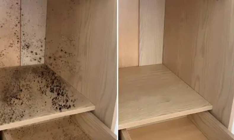 牆壁霉斑清除 牆壁霉斑清除