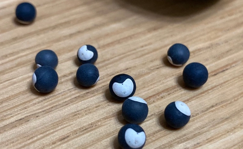 燈籠草盆栽 燈籠草盆栽