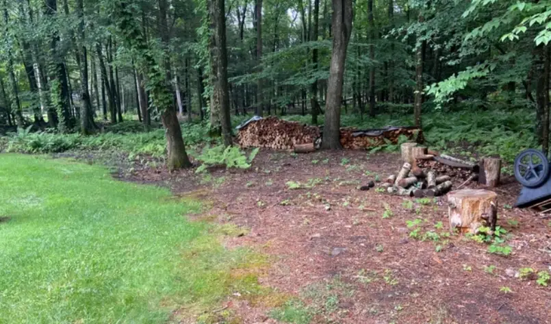 樹木生長控制 樹木生長控制