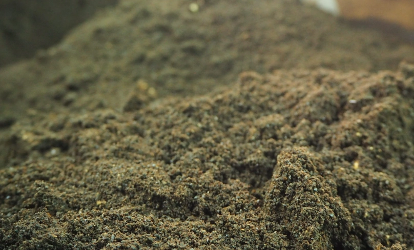 咖啡渣肥料種九層塔：省錢環保的香草栽培完整指南