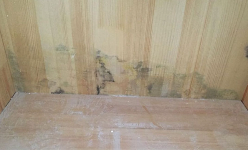 衣櫃發霉處理 衣櫃發霉處理