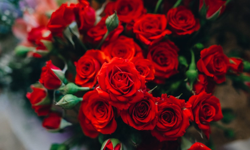 浪漫花語指南：用花卉傳遞心意，讓感情升溫的實用技巧