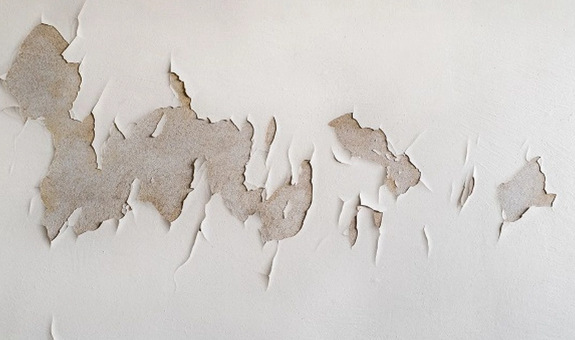 油漆剝落濕氣怎麼辦？專家教你根治牆面問題的完整指南