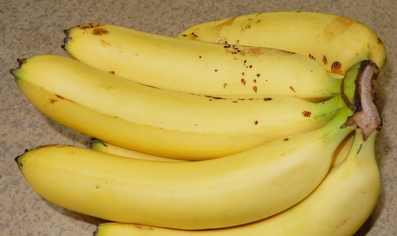 香蕉構造 香蕉構造