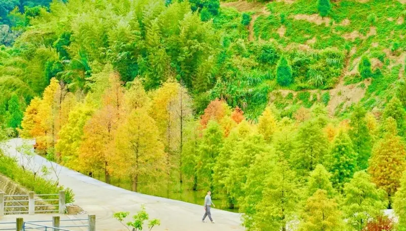 苗栗一日遊行程