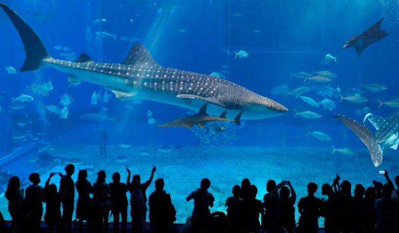 沖繩行程規劃 沖繩行程規劃