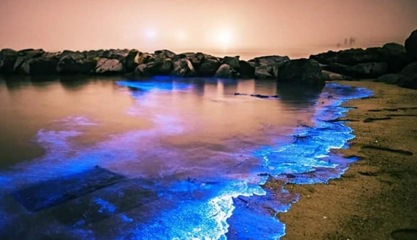 澎湖藍眼淚景點 澎湖藍眼淚景點