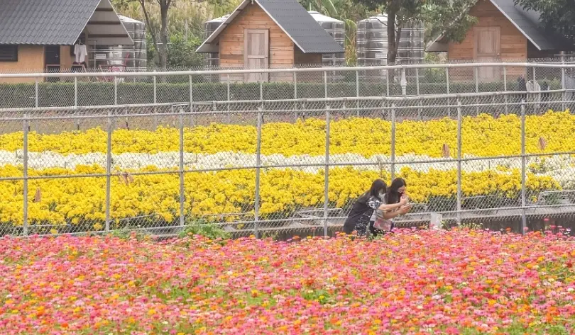 苗栗一日遊不開車攻略：火車公車輕鬆玩透山城景點美食