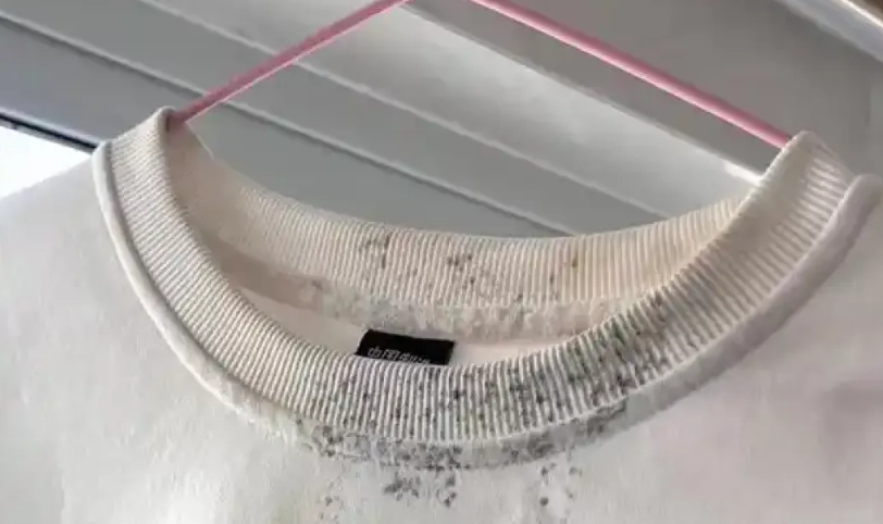 衣服發霉白色清潔全攻略：去除霉斑與預防技巧