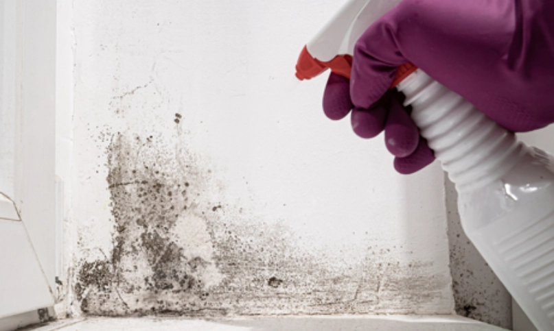 牆壁發霉漂白水