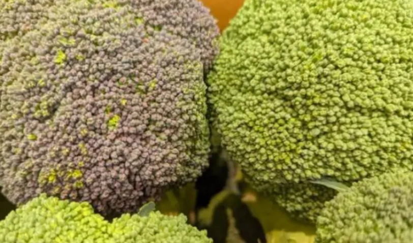 花椰菜保存方法