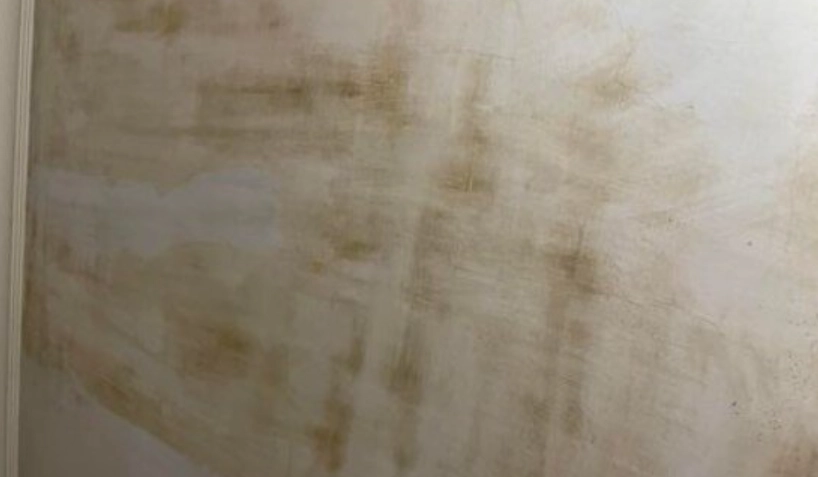 牆壁發霉處理 牆壁發霉處理
