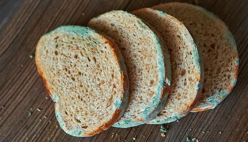 發霉食物中毒症狀 發霉食物中毒症狀