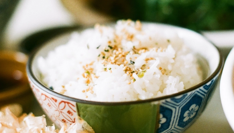 白飯熱量 白飯熱量
