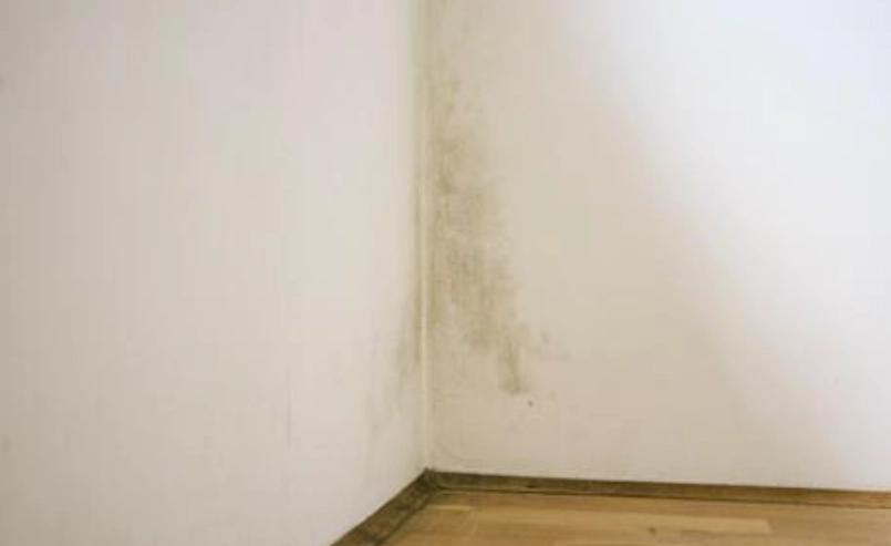 漂白水清潔比例 漂白水清潔比例